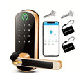 Fingerprint Lock (One Set)